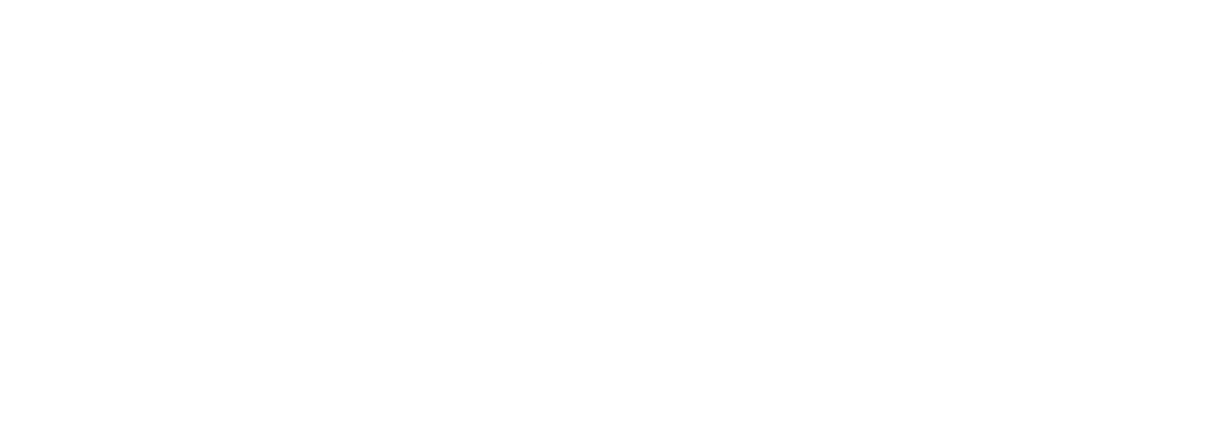 Zittauer Falcons